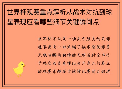 世界杯观赛重点解析从战术对抗到球星表现应看哪些细节关键瞬间点 世界杯观赛重点解析从战术对抗到球星表现应看哪些细节关键瞬间点